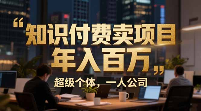 （17134期）从0到年入百万：超级个体实战心得公开，个人IP×精准引流×成交系统全拆解-小二项目网