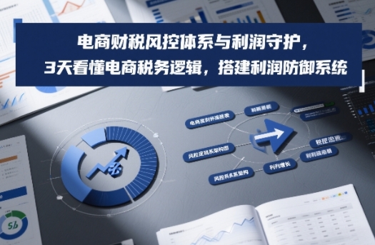 电商财税风控体系与利润守护，3天看懂电商税务逻辑，搭建利润防御系统-小二项目网