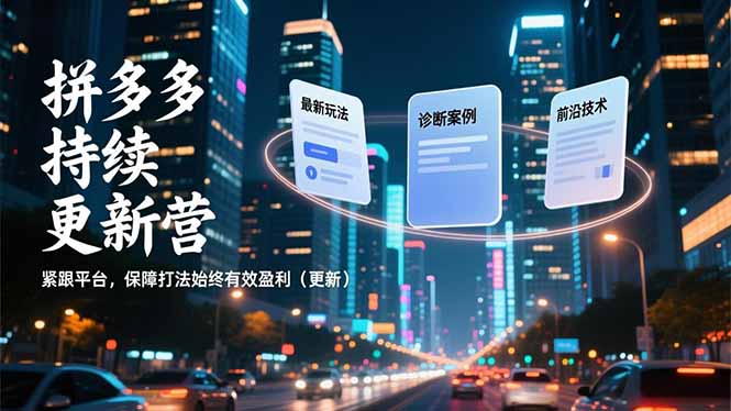 （16987期）拼多多持续更新营，最新玩法、诊断案例、前沿技术，紧跟平台，保障打法始终有效盈利（更新）-小二项目网