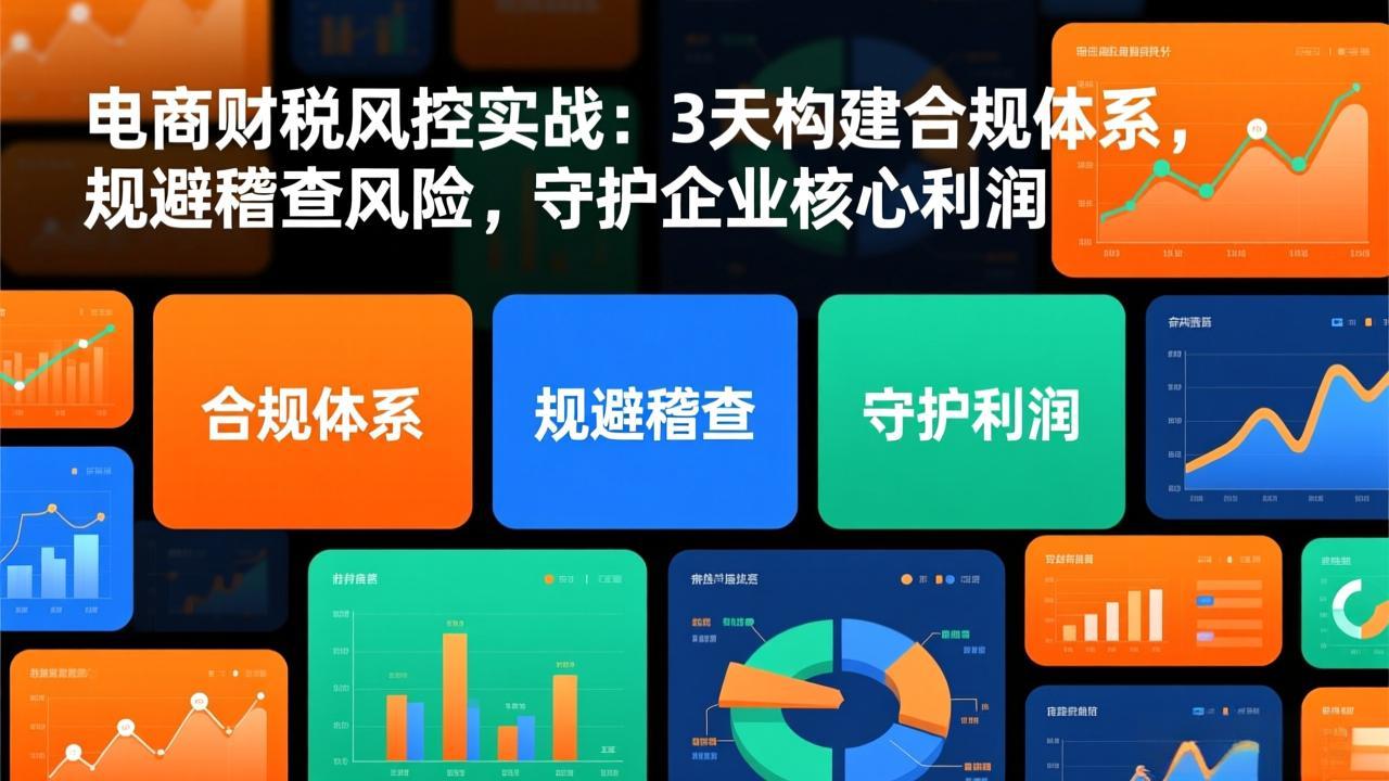 （17197期）电商财税风控实战：3天构建合规体系，规避稽查风险，守护企业核心利润-小二项目网