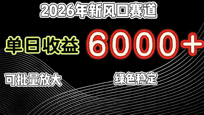 （17135期）2026年新风口赛道，当日6000+以上，可批量放大，月收入20万+，长期绿色稳定的项目-小二项目网