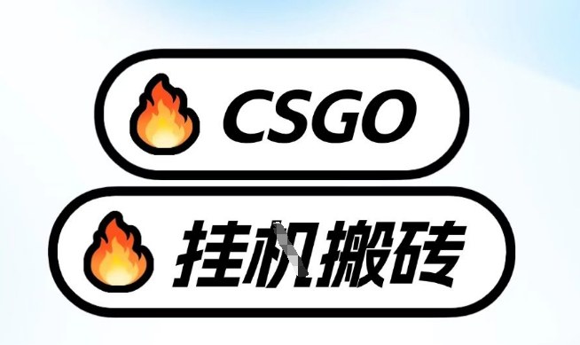 真全网独家CSGO挂G，最新玩法,单日捡漏1K+，不用电脑，不用打游戏【揭秘】-小二项目网