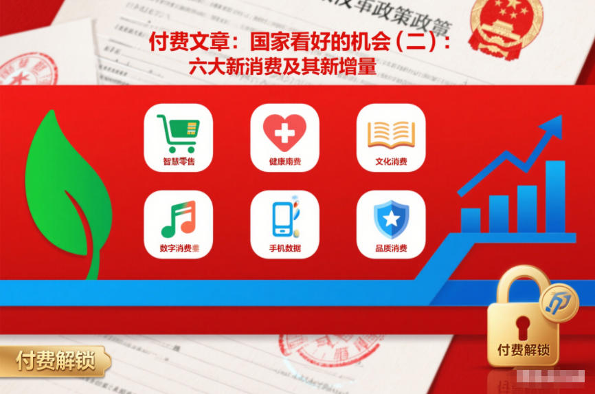 付费文章：国家看好的机会(二)：六大新消费及其新增量-小二项目网