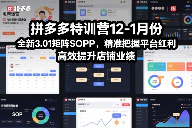 拼多多特训营12-1月份，全新3.01矩阵Sop，精准把握平台红利，高效提升店铺业绩-小二项目网