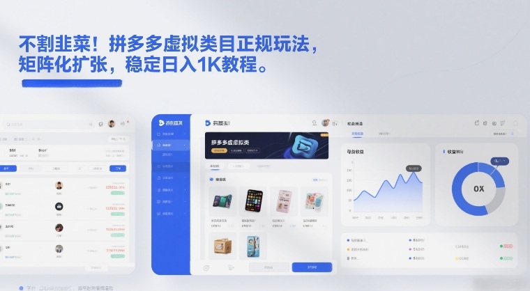 不割韭菜！拼多多虚拟类目正规玩法，矩阵化扩张，稳定日入1K教程【揭秘】-小二项目网