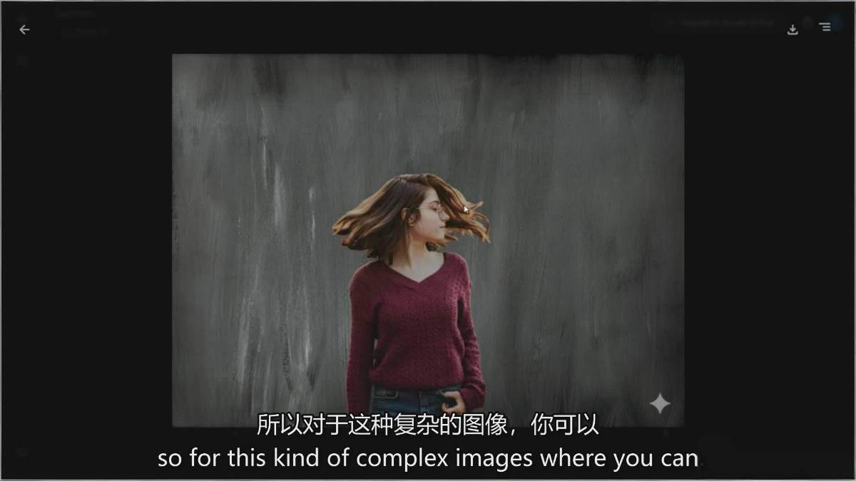 图片[4]-Google Nano Banana全能课：从入门到精通，AI照片编辑与创意设计全掌握-小二项目网