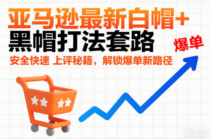 亚马逊最新白帽+黑帽打法套路，安全快速上评秘籍，解锁爆单新路径-小二项目网