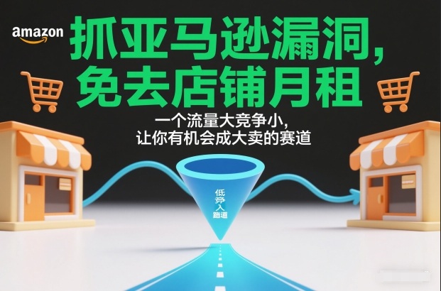 抓亚马逊漏洞,免去店铺月租,一个流量大竞争小,让你有机会成大卖的赛道-小二项目网