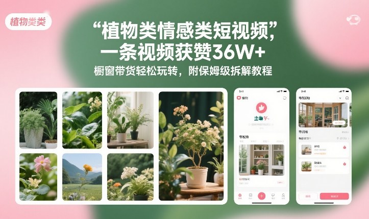 植物类情感类短视频，一条视频获赞36W+，橱窗带货轻松玩转，附保姆级拆解教程-小二项目网