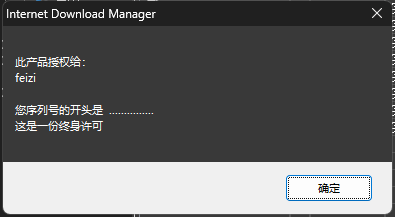 图片[9]-IDM终身激活版下载_Internet Download Manager破解教程_浏览器插件安装指南