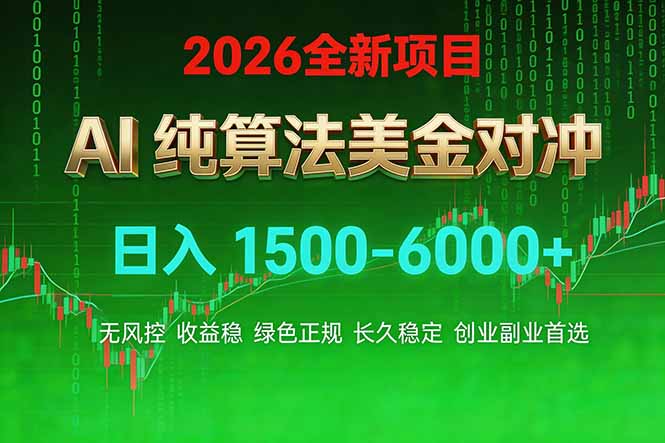 （17466期）2026 全新美金对冲项目，不套平台赠金，不封号，纯算法对冲，日入 1500-6000+-小二项目网
