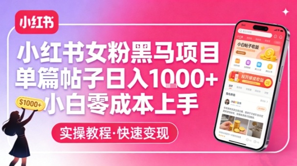 小红书女粉黑马项目，单篇帖子日入1k+，小白零成本上手-小二项目网