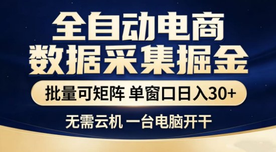独家电商数据全自动采集项目，批量可矩阵，单窗口轻松日入3张+【揭秘】-小二项目网