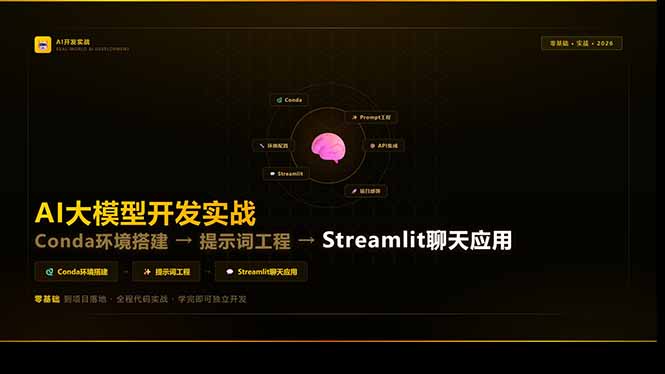 （17723期）AI大模型开发实战：Conda环境搭建→提示词工程→Streamlit聊天应用，零基础到项目落地-小二项目网