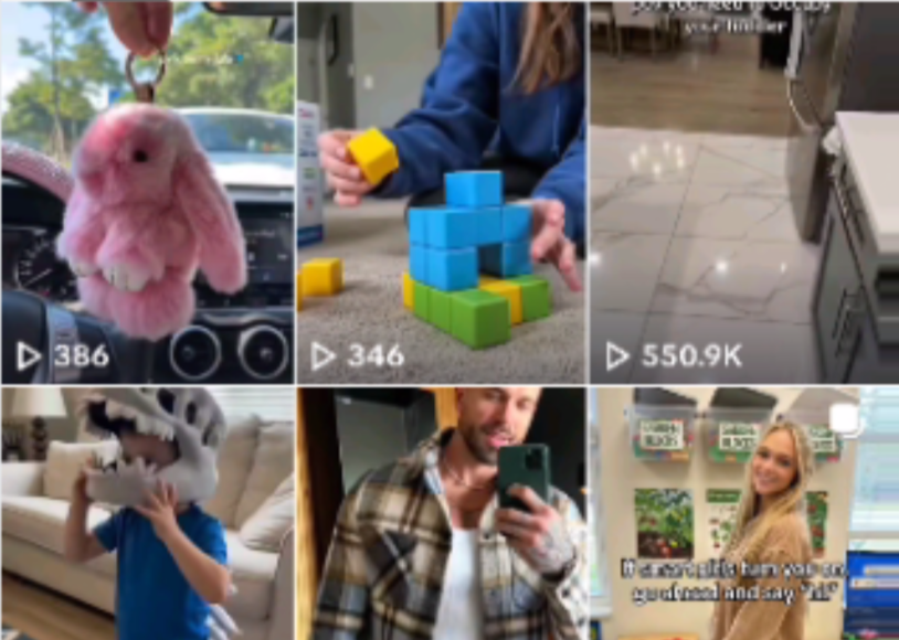 万字实操指南：Seedance联手TikTok带货，月入六位数可复制的全攻略-小二项目网