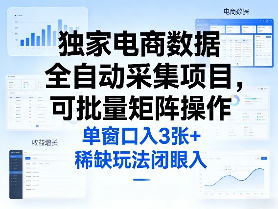 独家电商数据全自动采集项目，可批量矩阵操作，单窗口日入3张+，稀缺玩法闭眼入【揭秘】-小二项目网