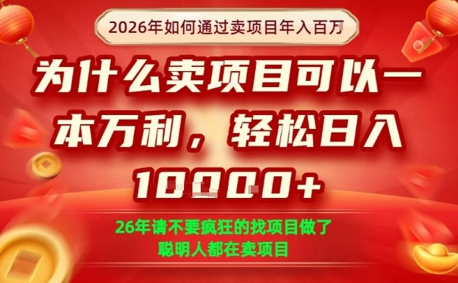 一单净利润1K+，26年想年入100个W，死磕卖项目就够了【揭秘】-小二项目网