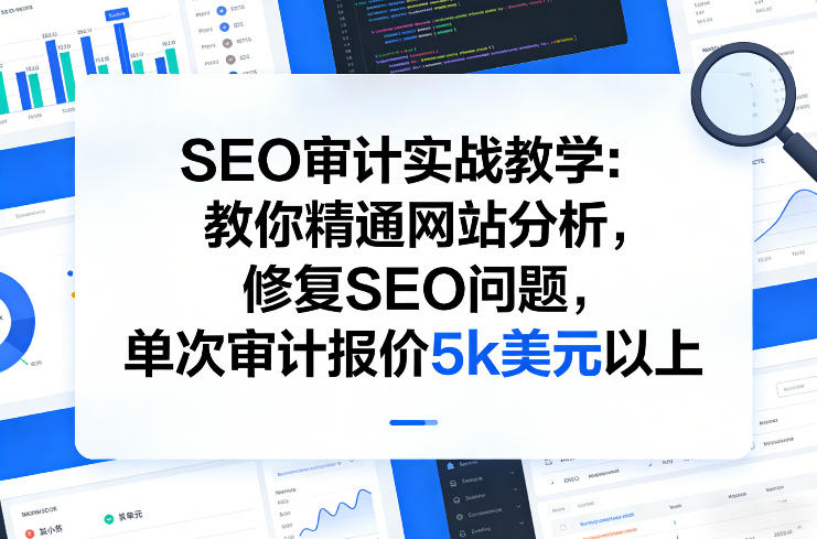 SEO审计实战教学：教你精通网站分析，修复SEO问题，单次审计报价5k美元以上-小二项目网
