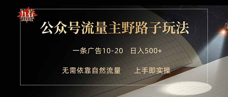 （18178期）公众号流量主野路子玩法 单条广告10-20元 日入500+-小二项目网