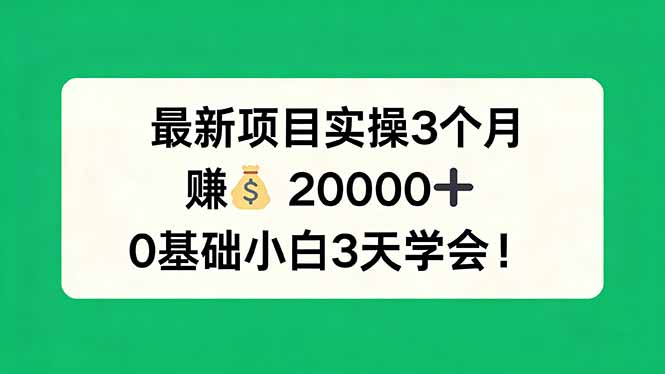 （17856期）最新项目实操3个月，赚钱20000+，0基础小白3天学会！-小二项目网