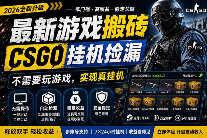 （18182期）最新游戏搬砖，CSGO纯挂机，不需要玩游戏，实现真挂机，月入1W+，五一小高峰上车可吃肉，…-小二项目网
