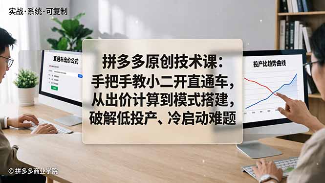 （18159期）拼多多原创技术课：手把手教小二开直通车，从出价计算到模式搭建，破解低投产、冷启动难题-小二项目网