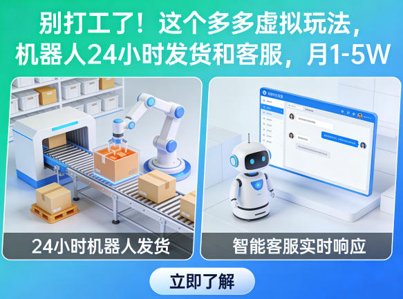 别打工了！这个多多虚拟玩法，机器人24小时发货和客服，月1-5W【揭秘】-小二项目网