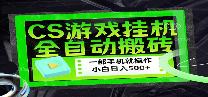 CSGO游戏挂机捡漏搬砖，超稳定的项目，带领1000+小白实现日入500+-小二项目网