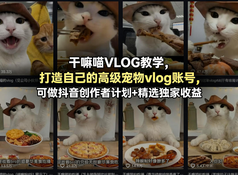 干嘛喵VLOG教学，打造自己的高级宠物vlog账号，可做抖音创作者计划+精选独家收益-小二项目网