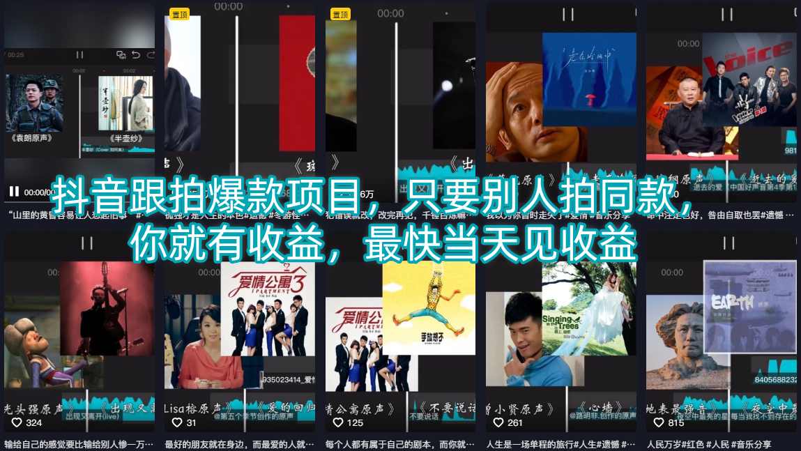 抖音跟拍爆款项目，只要别人拍同款，你就有收益，最快当天见收益-小二项目网