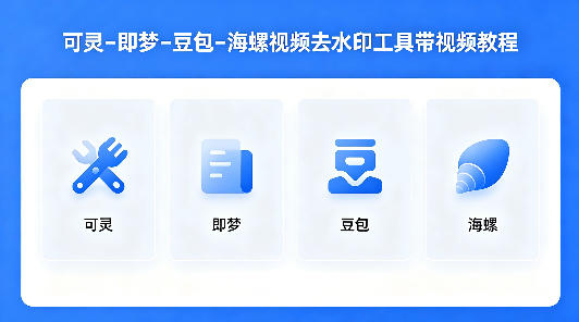 可灵–即梦–豆包–海螺视频去水印工具带视频教程-小二项目网