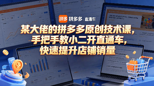 某大佬的拼多多原创技术课，手把手教小二开直通车，快速提升店铺销量-小二项目网