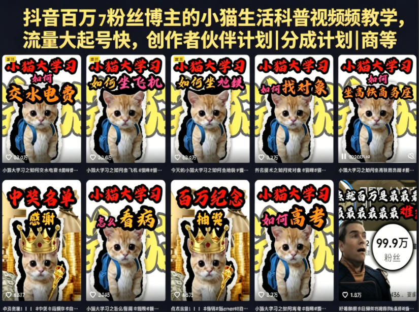 抖音百万粉丝博主的小猫生活科普视频教学，流量大起号快，创作者伙伴计划|分成计划|商单|收徒等-小二项目网