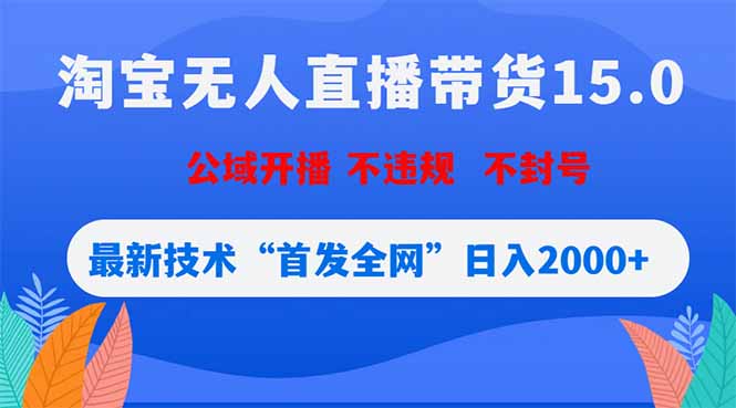 (18562期)淘宝无人直播带货15.0,不封号,不违规,公域玩法,首发全网日入2000+-小二项目网
