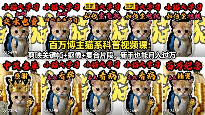 （18595期）百万博主猫系科普视频课：剪映关键帧+抠像+复合片段，新手也能月入过万-小二项目网