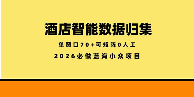 （18500期）酒店智能数据归集，小众蓝海已经稳定半年之久，单窗口70+零成本矩阵开干-小二项目网
