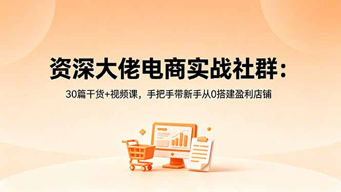 （18529期）资深大佬电商实战社群：30篇干货+视频课，手把手带新手从0搭建盈利店铺-小二项目网