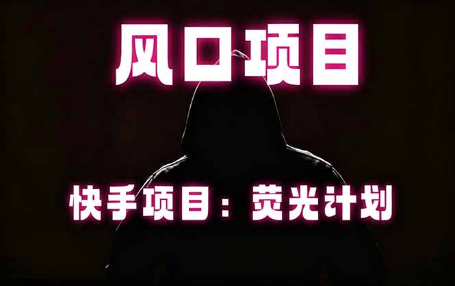 （18560期）快手风口项目，荧光计划托管，长期稳定，适合批量做-小二项目网