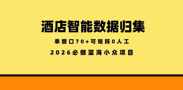 酒店智能数据归集，小众蓝海已经稳定半年之久，单窗口70+零成本矩阵开干【揭秘】-小二项目网