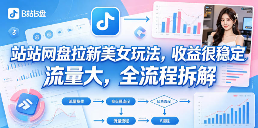 B站网盘拉新美女玩法，收益很稳定，流量大，全流程拆解-小二项目网