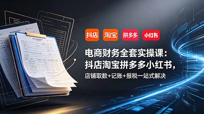 （19001期）电商财务全套实操课：抖店淘宝拼多多小红书，店铺取数+记账+报税一站式解决-小二项目网