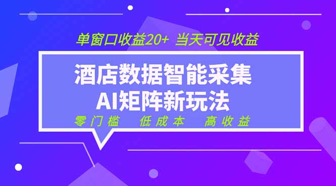 （19041期）2026酒店数据采集ai智能矩阵新风口  低成本   高收益   当天见收益   单窗口20+-小二项目网