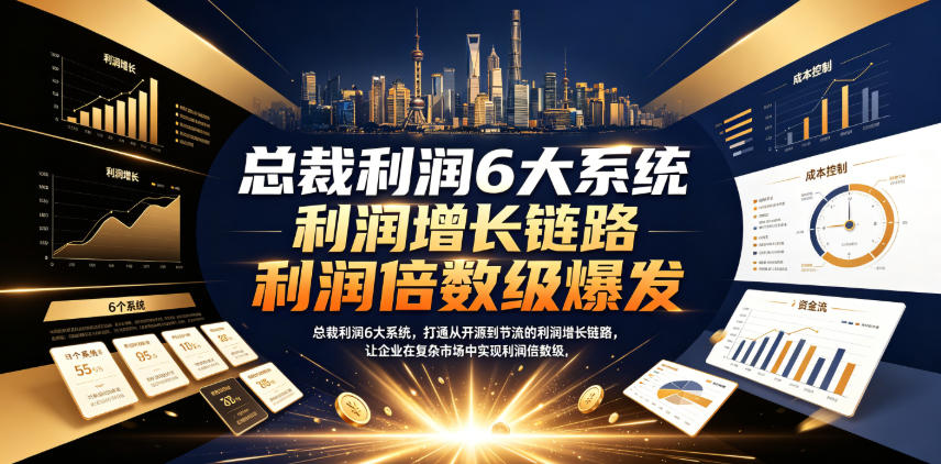 总裁利润6大系统，打通从开源到节流的利润增长链路，让企业在复杂市场中实现利润倍数级爆发-小二项目网
