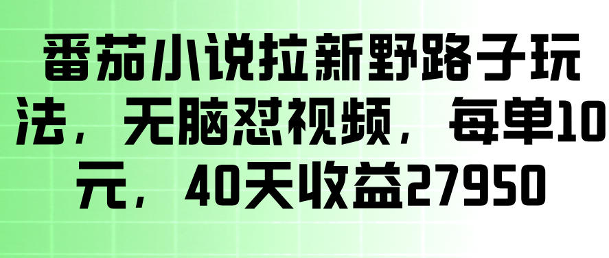 番茄小说拉新野路子玩法，无脑怼视频，玩法简单、见效快，每单10米，40天收益27950-小二项目网