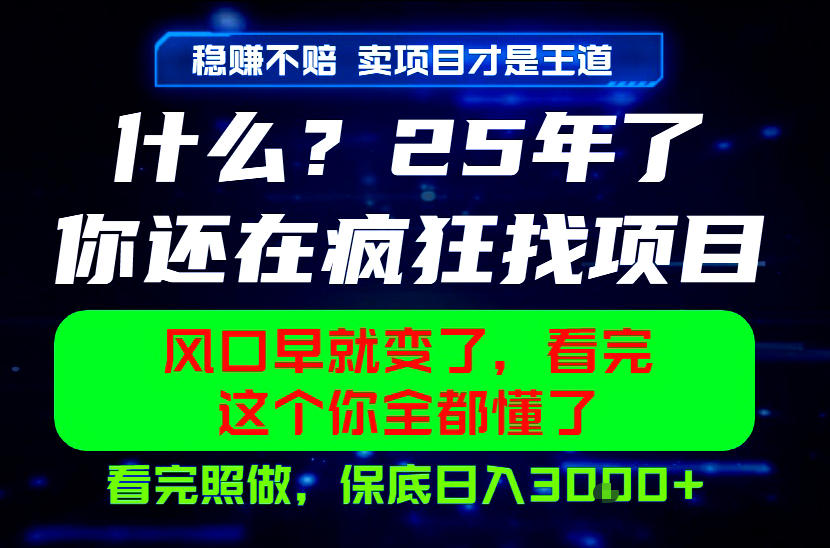 26年，请不要疯狂的找项目做了！卖项目才是真的稳賺不赔，看完照做，保底日入1k+【揭秘】-小二项目网
