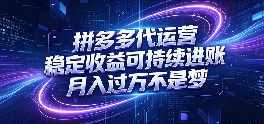 拼多多代运营，小白也能轻松月入过万，真实运营数据可查，全托管代运营-小二项目网
