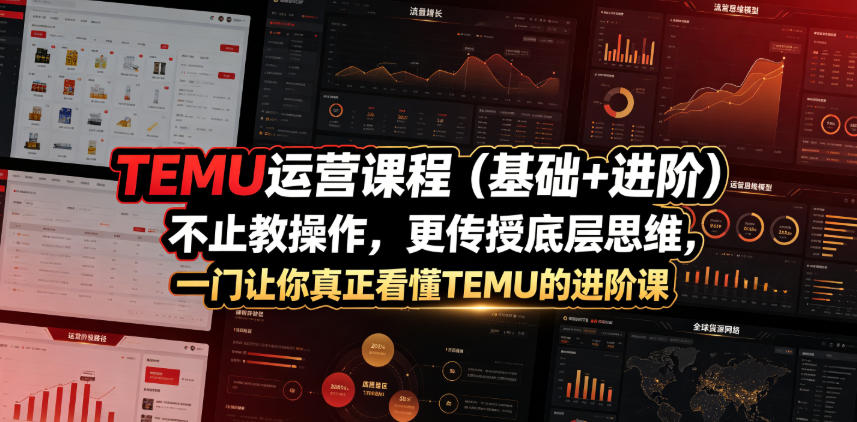 TEMU运营课程（基础+进阶），不止教操作，更传授底层思维，一门让你真正看懂TEMU的进阶课-小二项目网