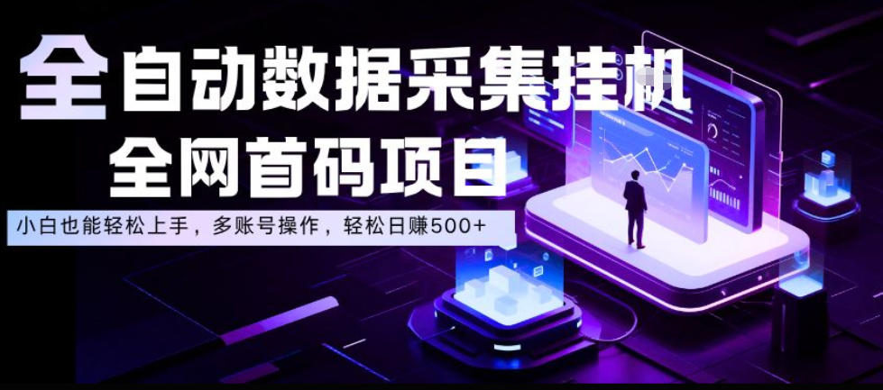 全自动数据采集挂G，全网首码项目，简单易操作，小白也能轻松上手，多账号操作，轻松日入500+【揭秘】-小二项目网