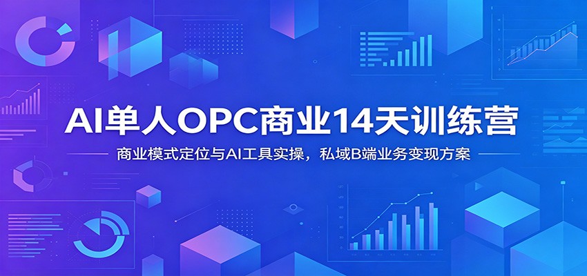 AI单人OPC商业14天训练营：商业模式定位与AI工具实操，私域B端业务变现方案-小二项目网