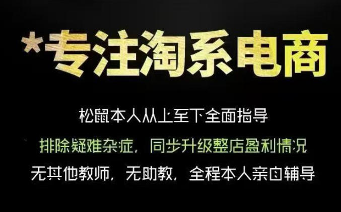松鼠会电商VIP课程，从基础布局到高阶优化，助你掌握淘宝运营逻辑，提升店铺流量与转化-小二项目网